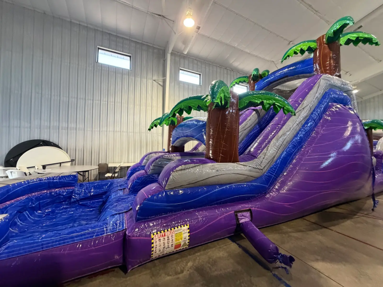 18' Purple Plunge Dual Lane Slide (Wet/Dry)