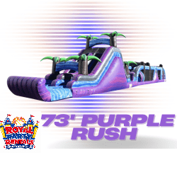 Screen20Shot202026 01 0620at208.59.2220PM 1767751797 73' Purple Rush Obstacle