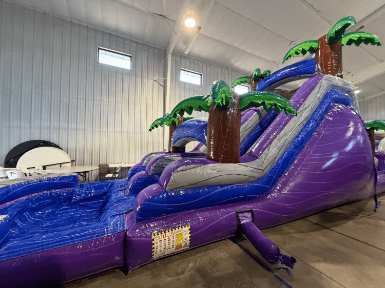 18' Purple Plunge Dual Lane Slide (Wet/Dry) 18' Purple Plunge Dual Lane Slide (Wet/Dry)